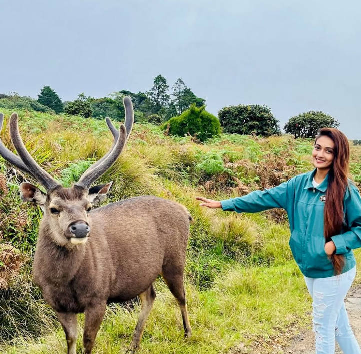 Madushany Perera Height, Age, Family, Biography